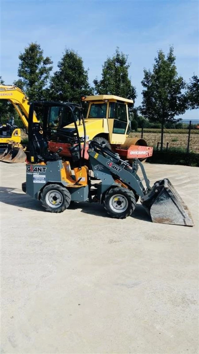 Giant D254SW